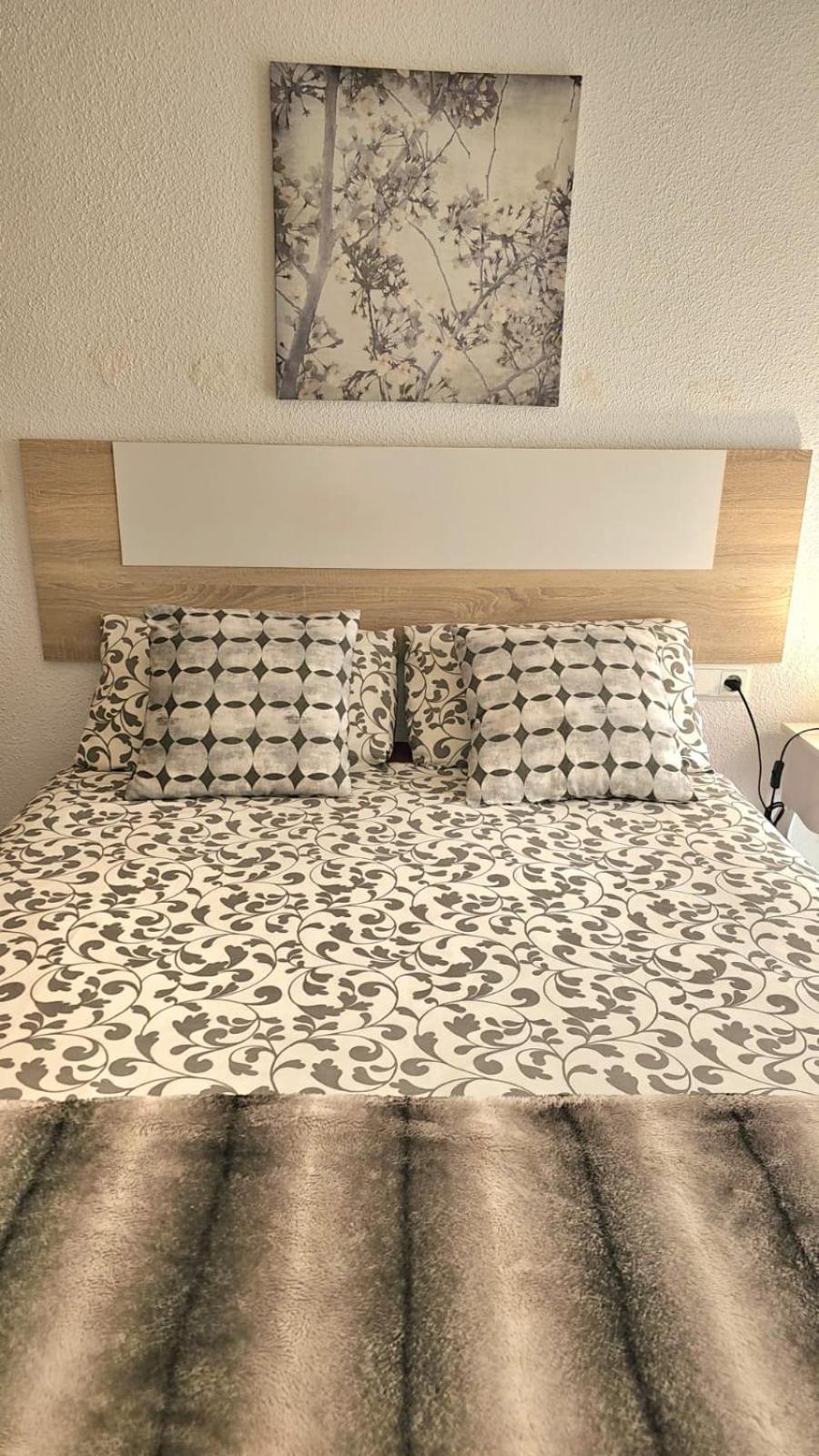 Ideal One Bedroom Center Appartement *